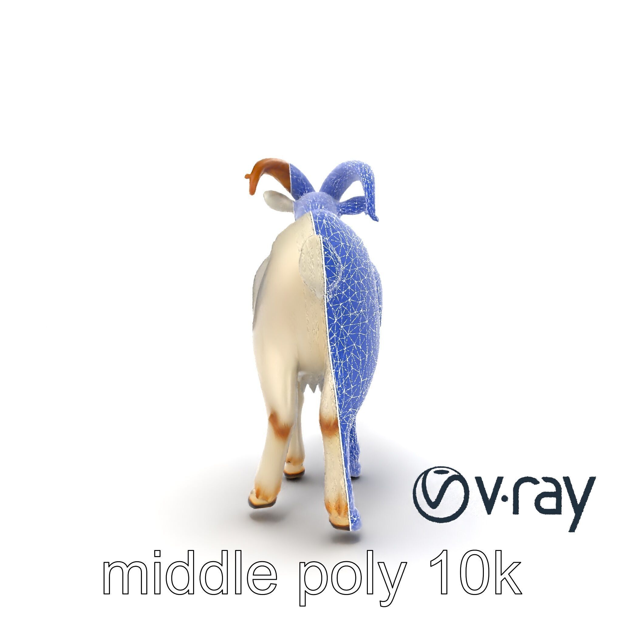 Curved Horn Goat White Coat model pack Low-poly 3D model_26