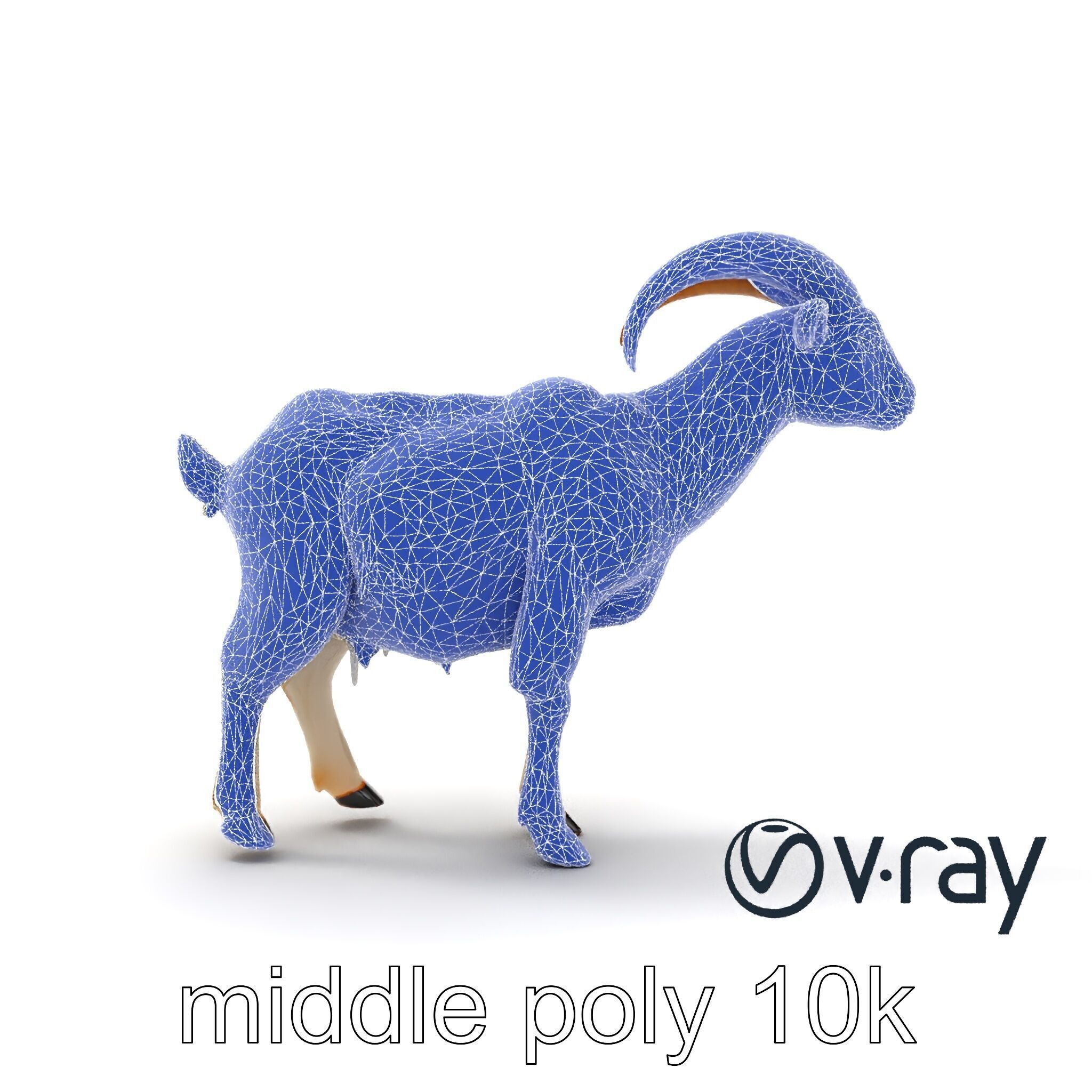 Curved Horn Goat White Coat model pack Low-poly 3D model_30