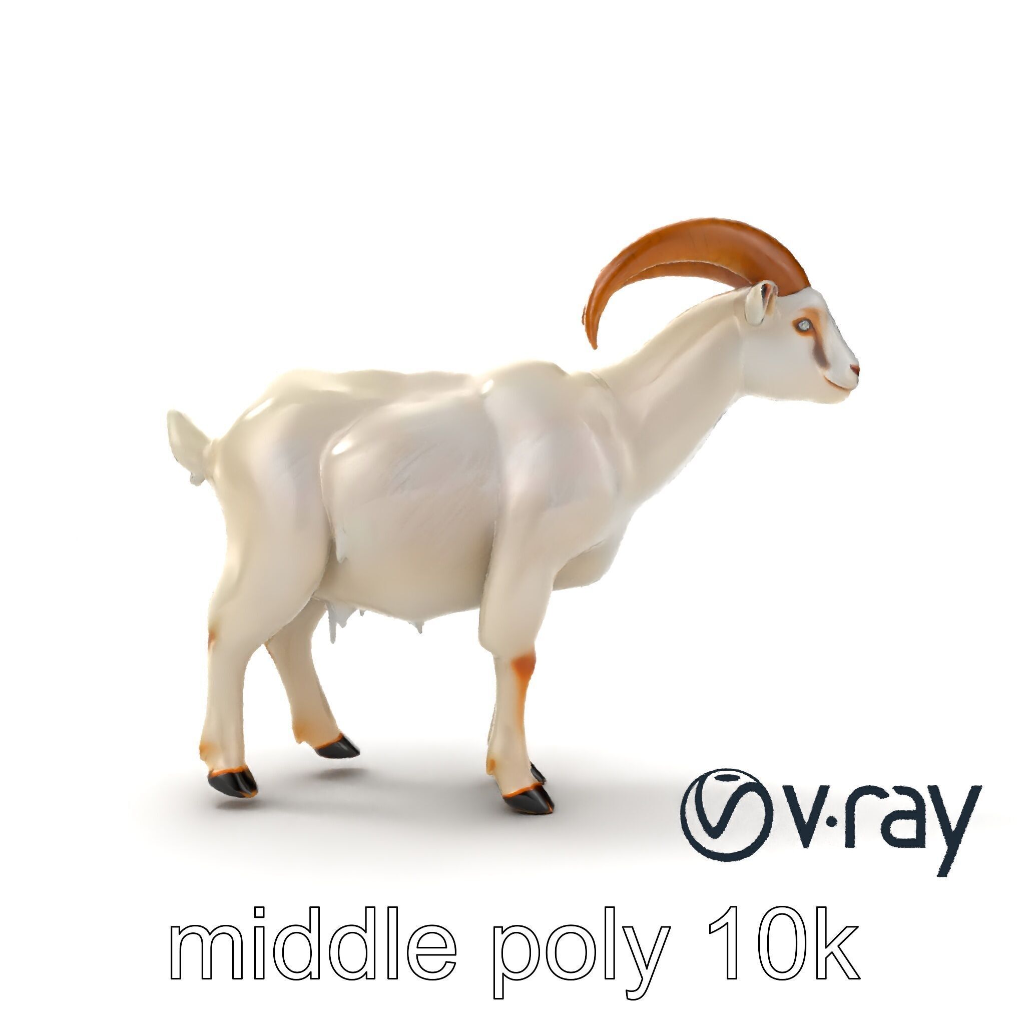 Curved Horn Goat White Coat model pack Low-poly 3D model_11
