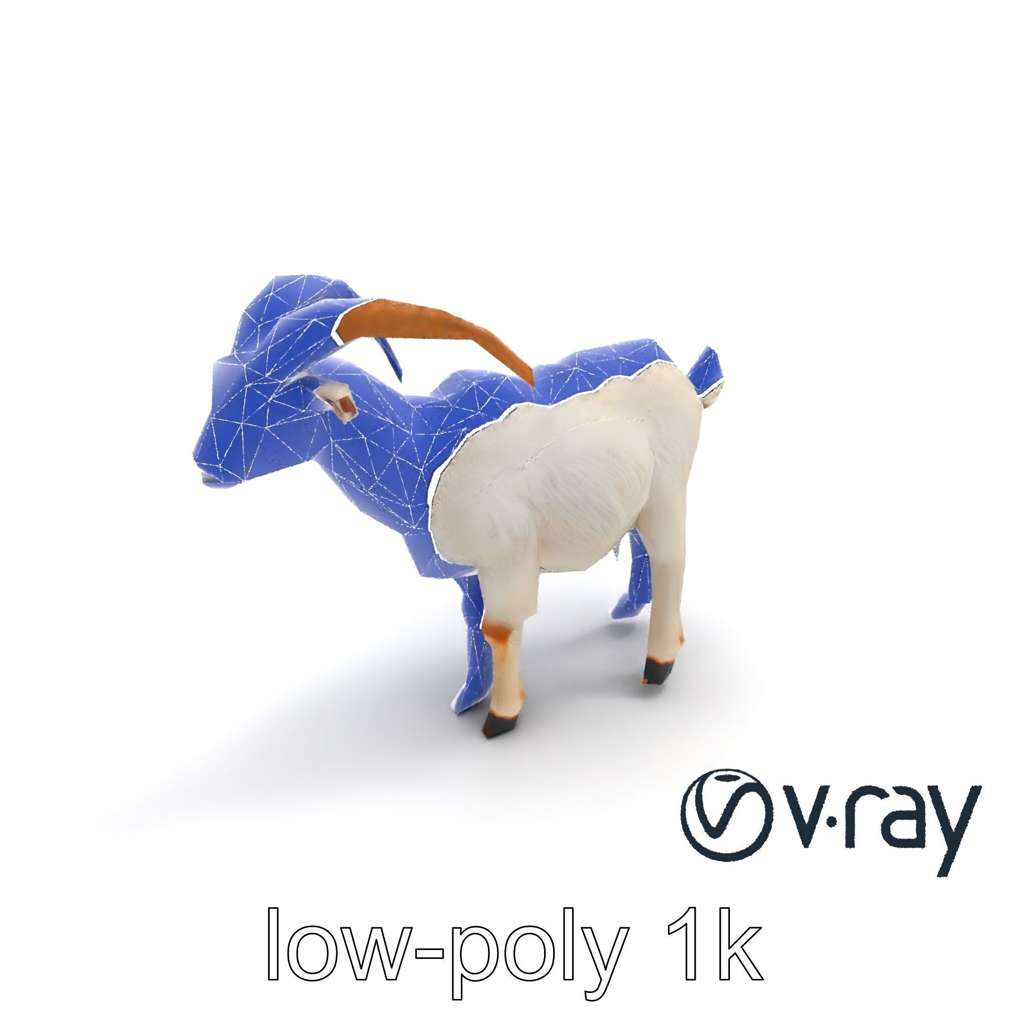 Curved Horn Goat White Coat model pack Low-poly 3D model_27