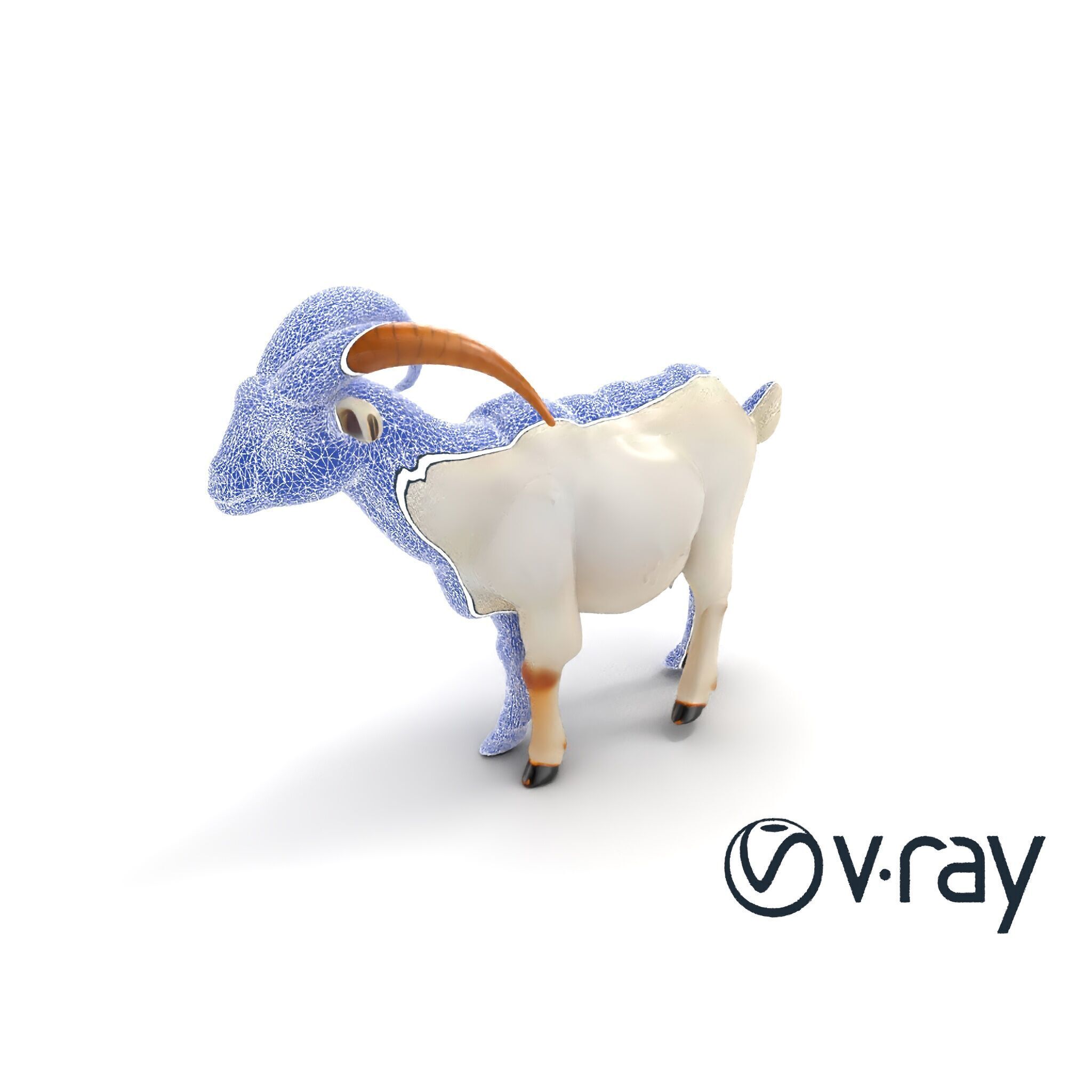 Curved Horn Goat White Coat model pack Low-poly 3D model_14