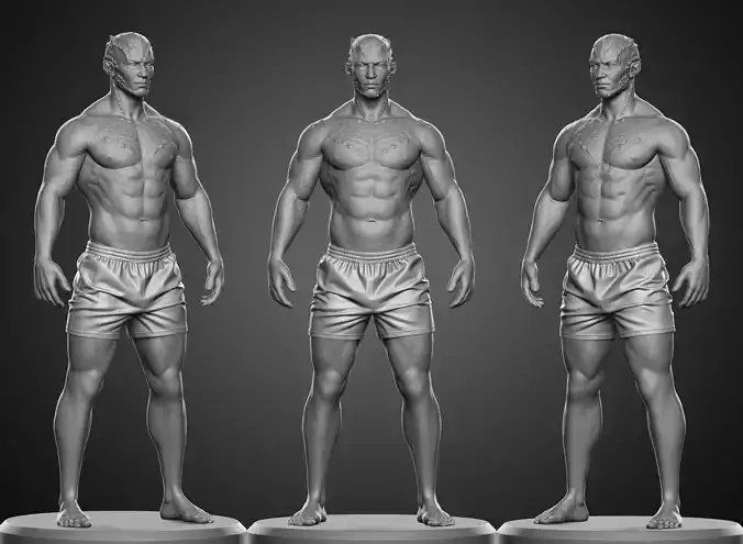 Anatomy Study 01