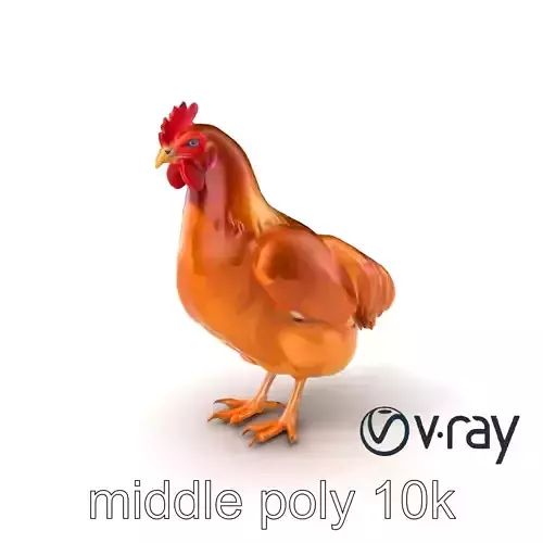 Golden Brown Chicken with Pecking Animation model pack Low-poly 3D model