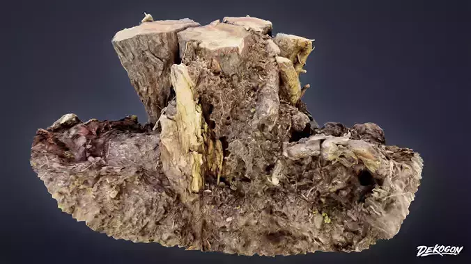 FOLIAGE - Stump Set 01 - LOW POLY