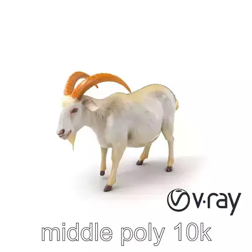 White Mountain Goat 3D model pack Low-poly 3D model