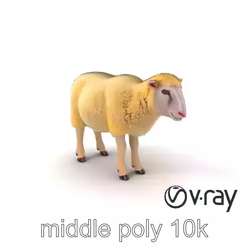 Fluffy White Sheep Grazing model pack Low-poly 3D model