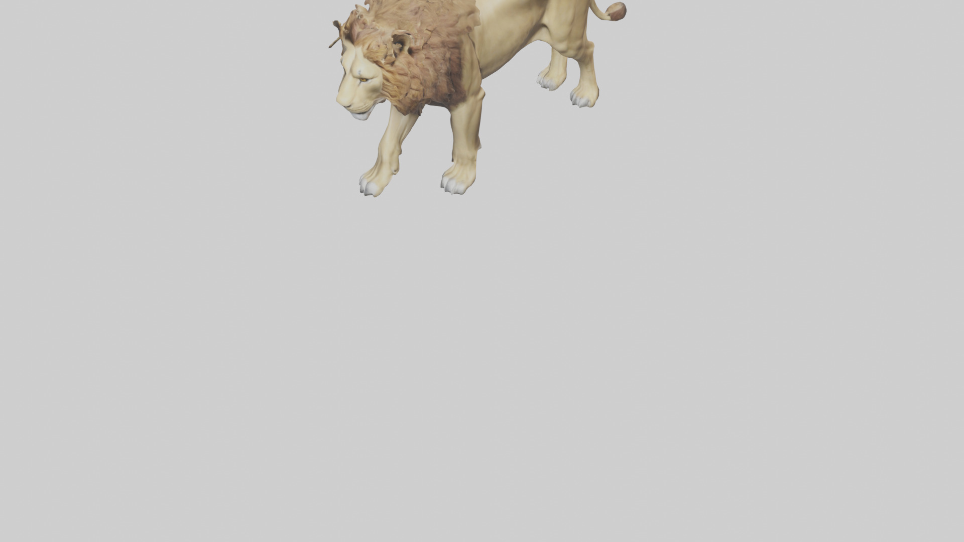 Lion walking model Low-poly 3D model_5