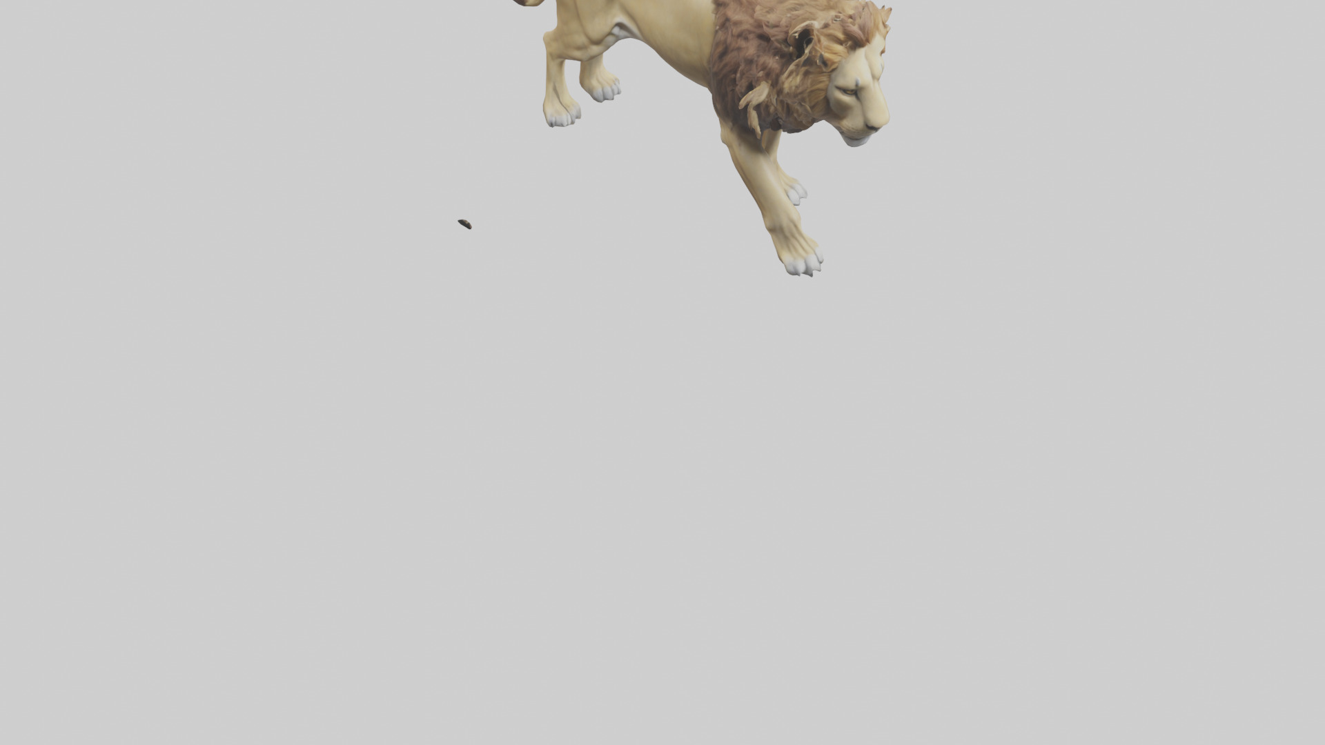 Lion walking model Low-poly 3D model_6