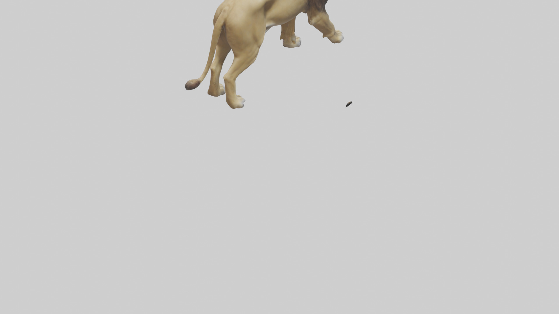Lion walking model Low-poly 3D model_4