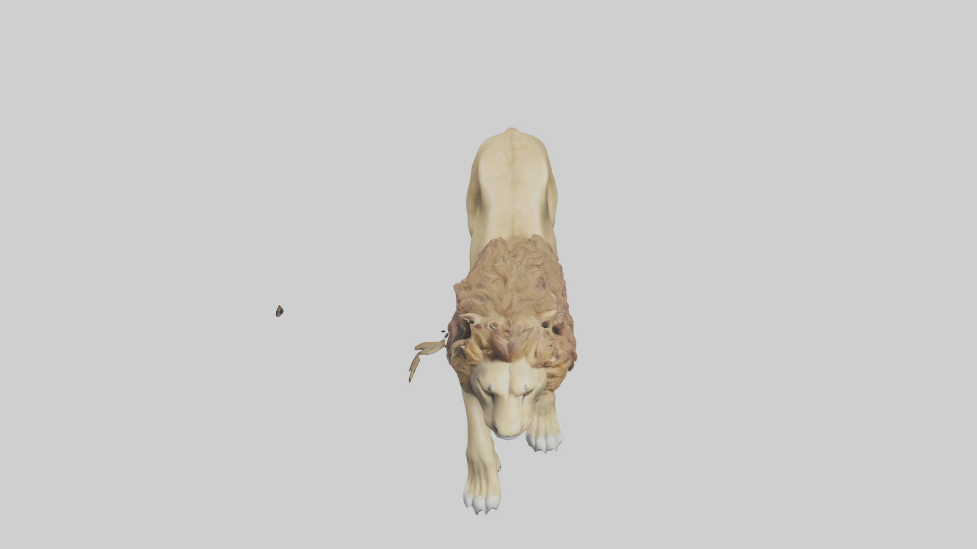 Lion walking model Low-poly 3D model_16