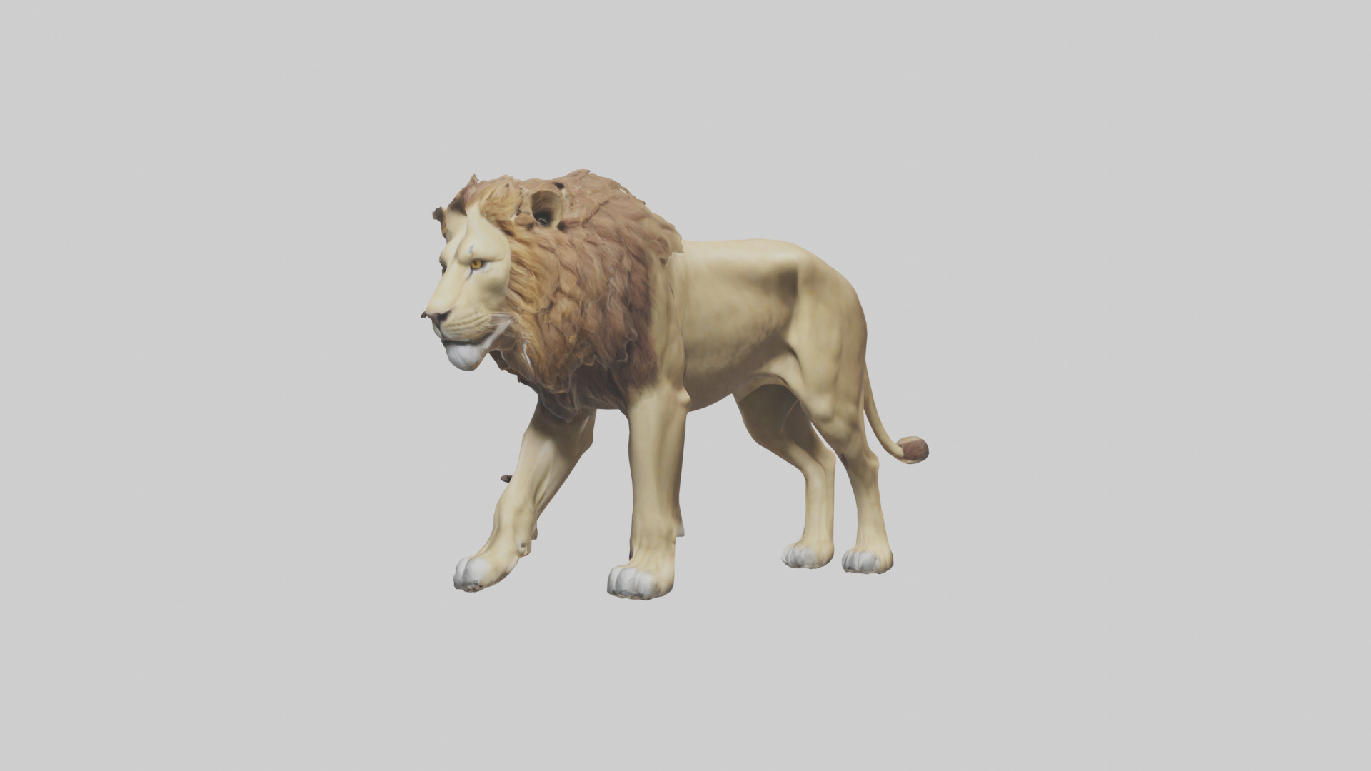 Lion walking model Low-poly 3D model_10
