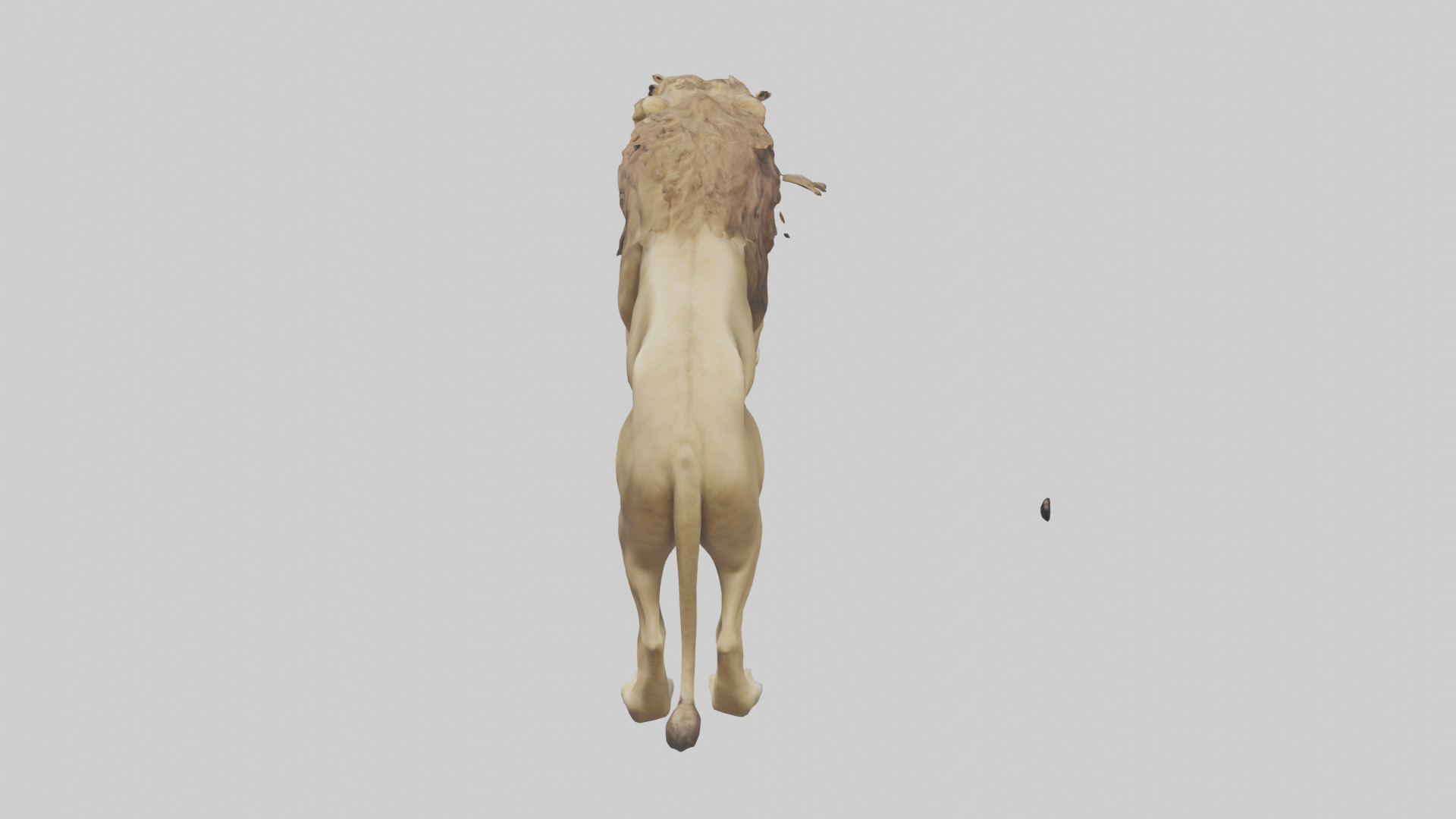 Lion walking model Low-poly 3D model_15