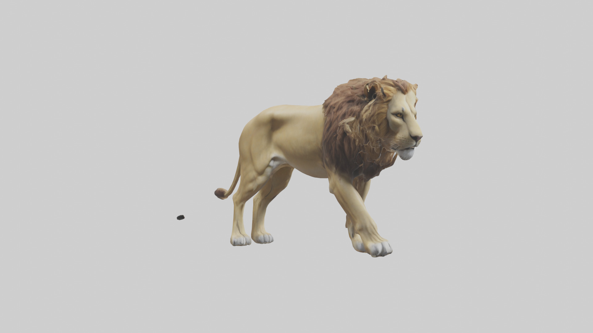 Lion walking model Low-poly 3D model_11