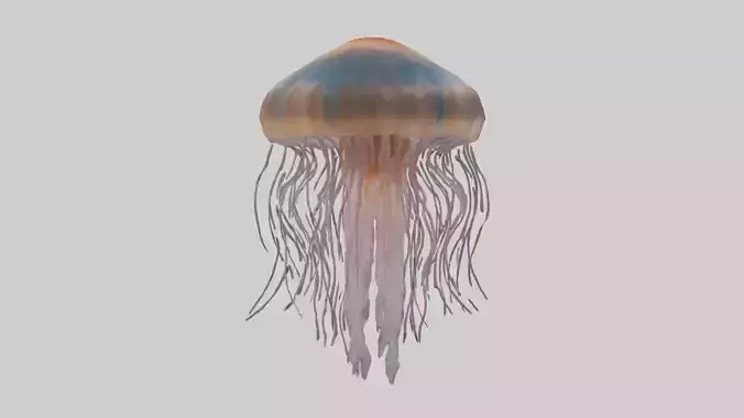 Lions Mane Jellyfish drifting model