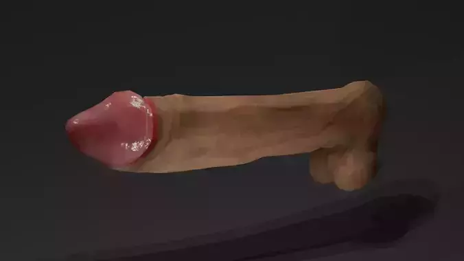 male genitalia - Penis low poly