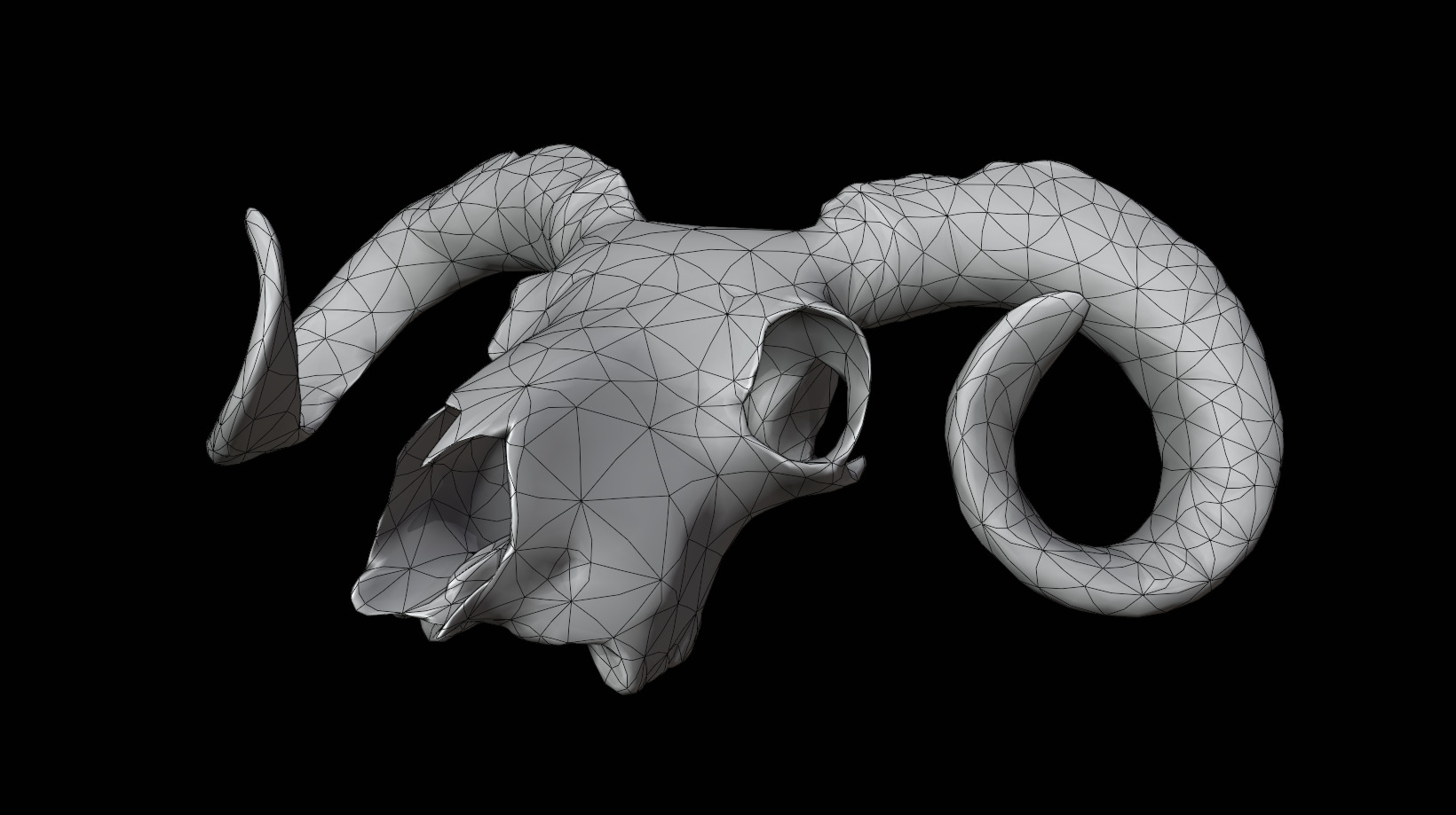 Ram Skull Low-poly 3D model_13