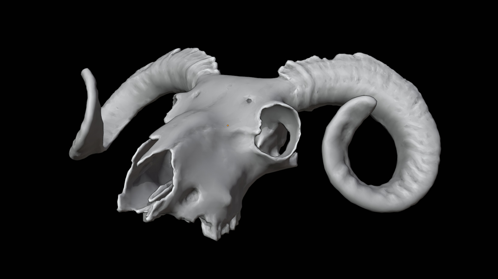 Ram Skull Low-poly 3D model_10