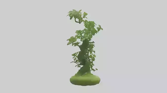 Living Plant Sculpture model