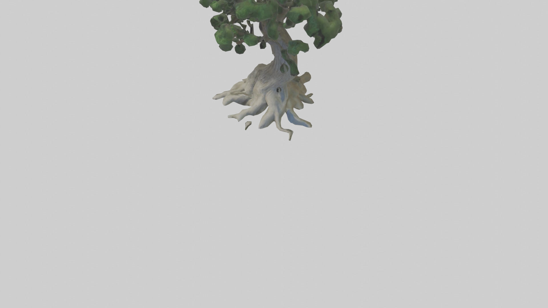 Living tree model Low-poly 3D model_5