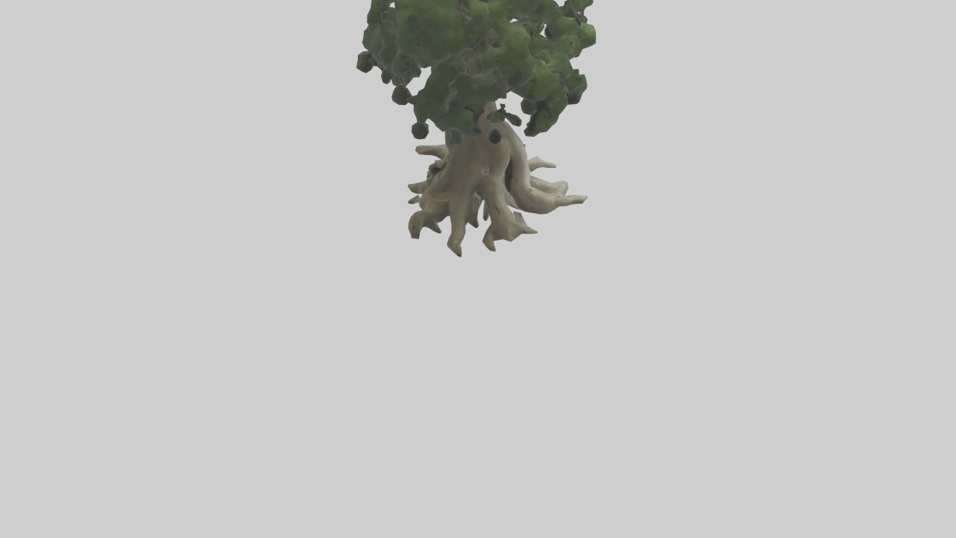 Living tree model Low-poly 3D model_4