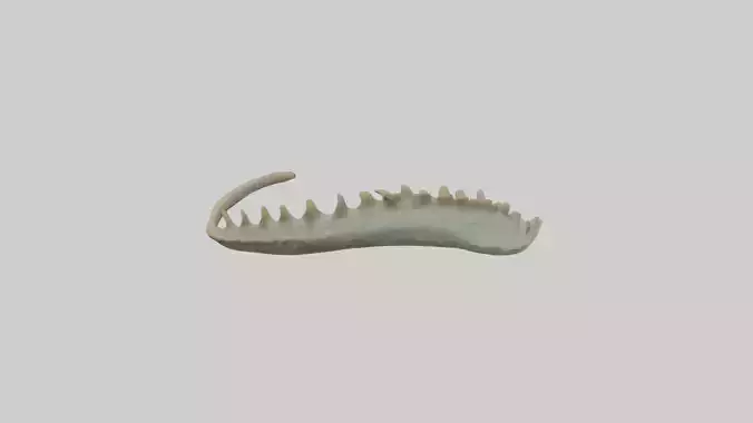 Lizard Spine 2