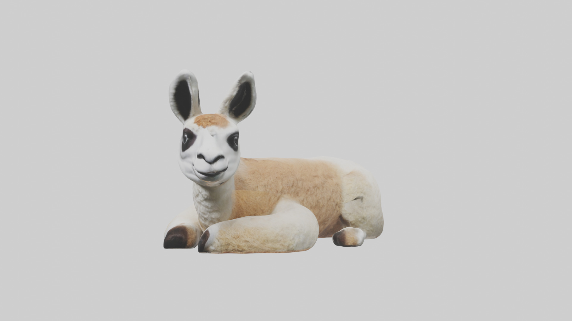 Llama lying down model Low-poly 3D model_10