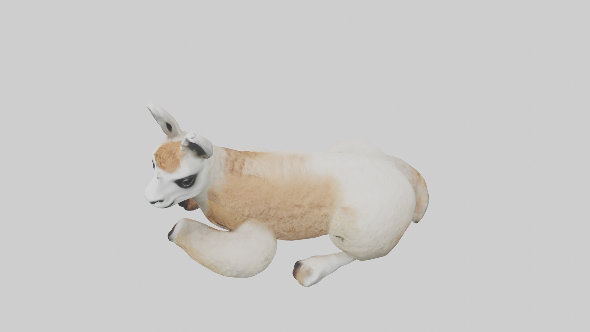 Llama lying down model Low-poly 3D model_17
