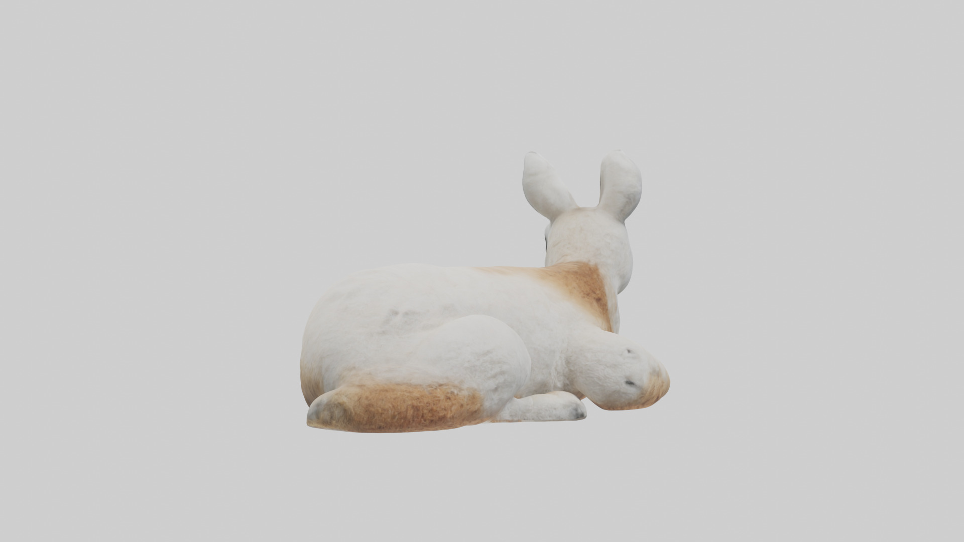 Llama lying down model Low-poly 3D model_2