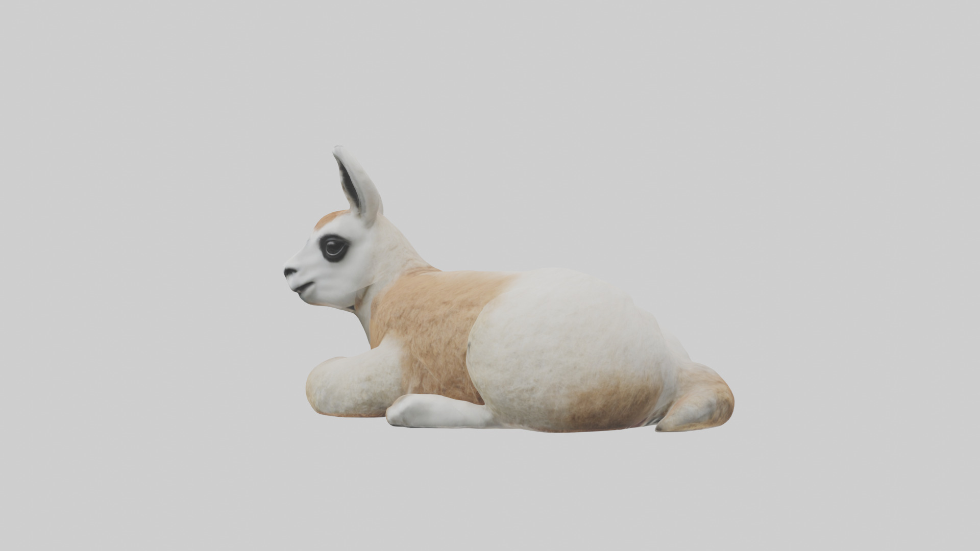 Llama lying down model Low-poly 3D model_1