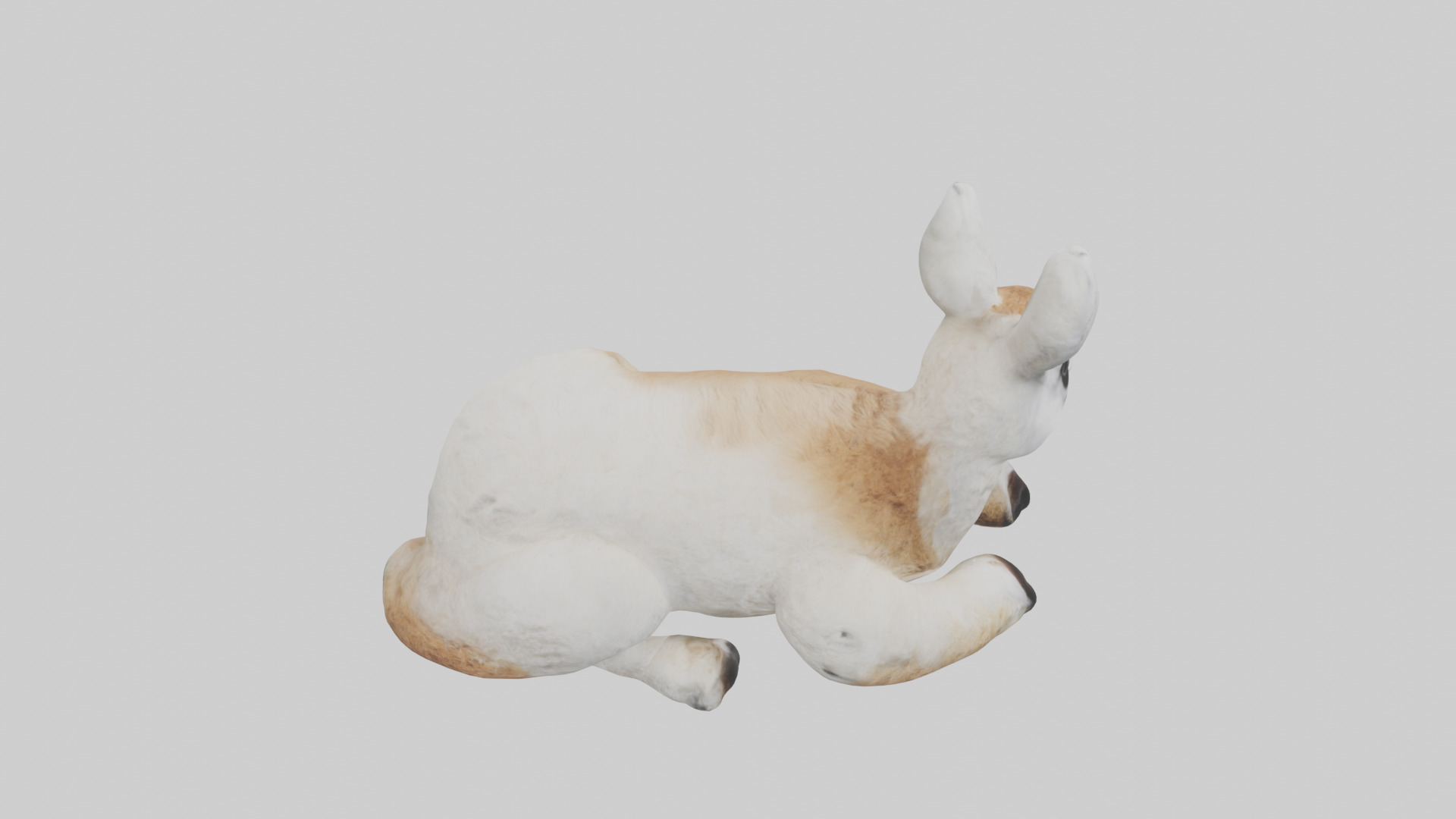 Llama lying down model Low-poly 3D model_18
