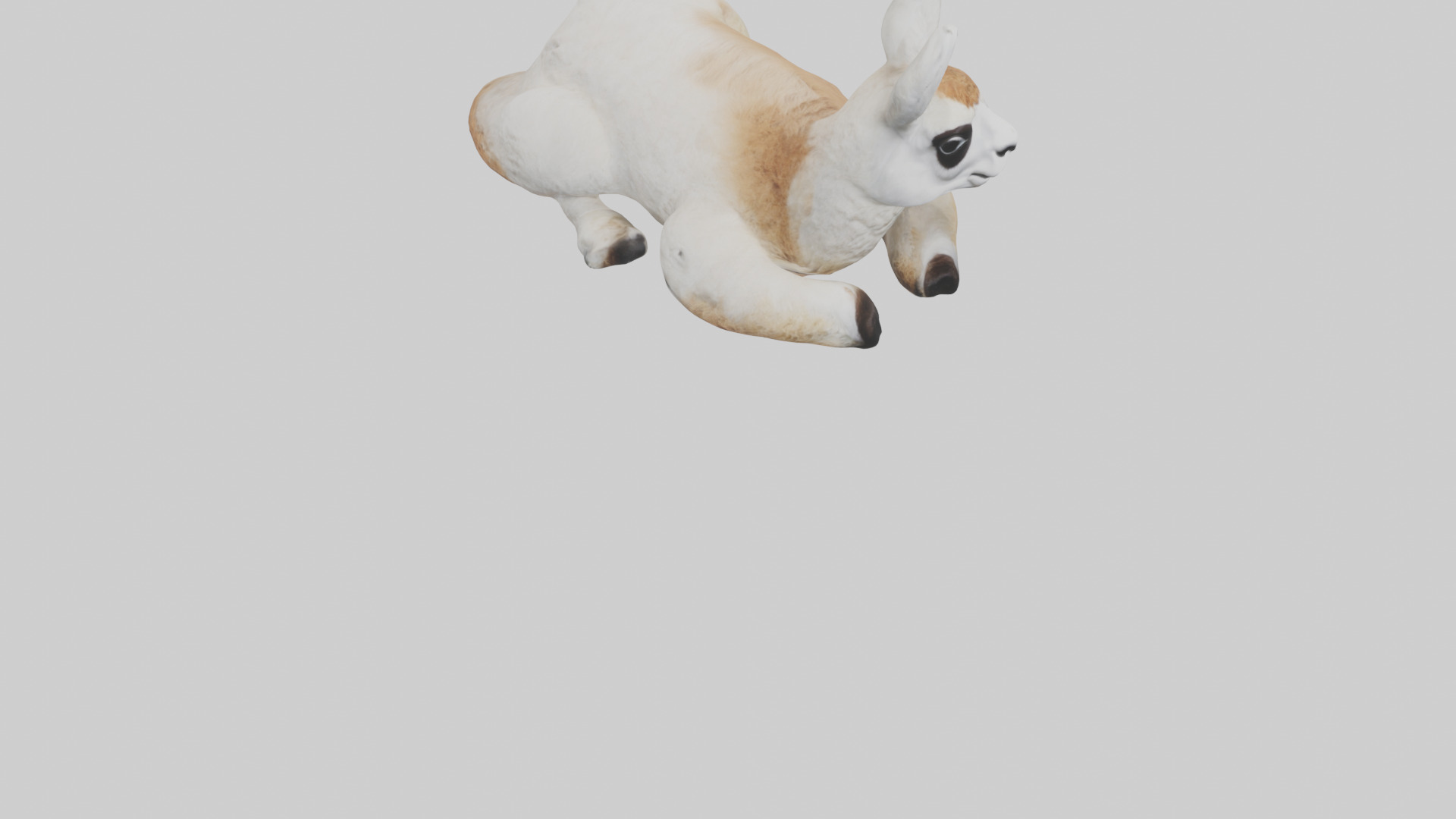 Llama lying down model Low-poly 3D model_6