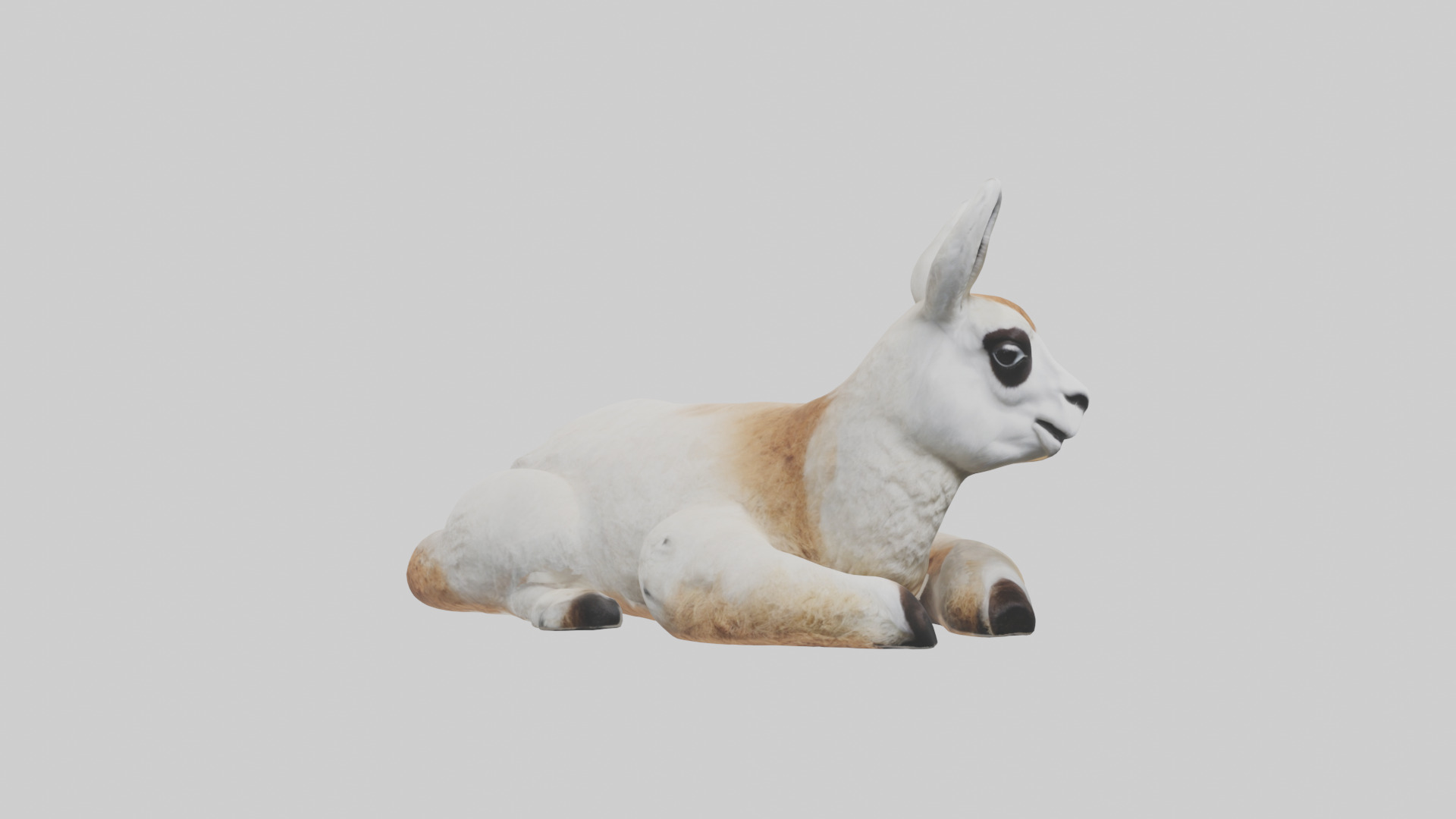 Llama lying down model Low-poly 3D model_11