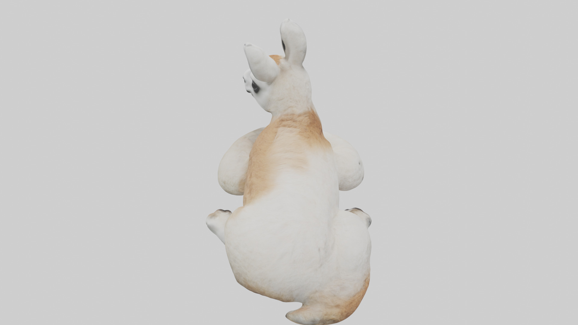 Llama lying down model Low-poly 3D model_15