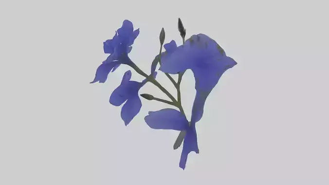 Lobelia model