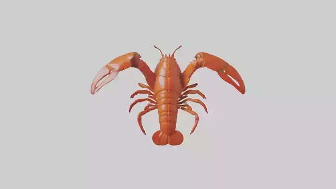 Lobster Body Model
