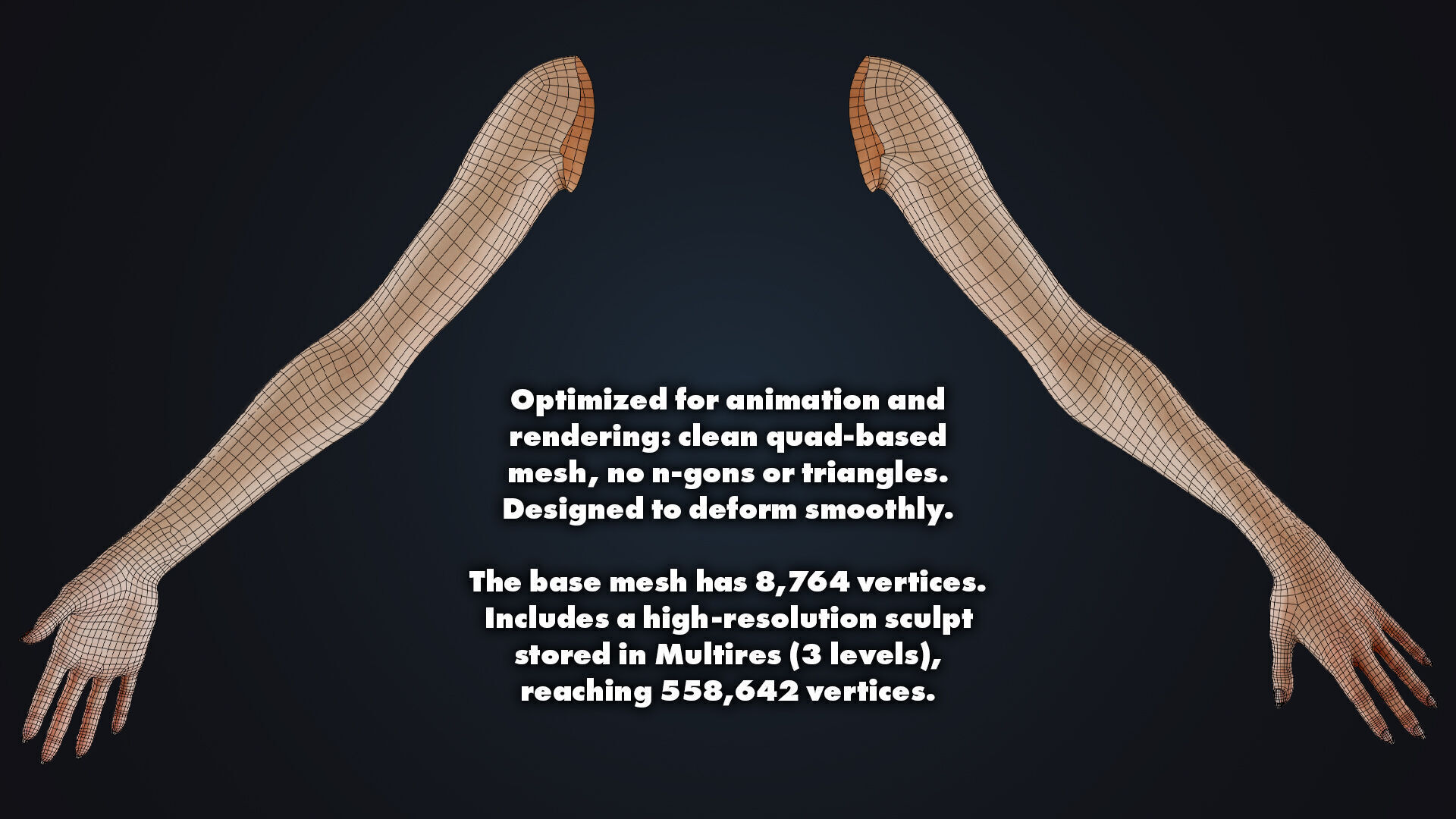 Realistic Female Arms - Customizable Edition 3D model_11