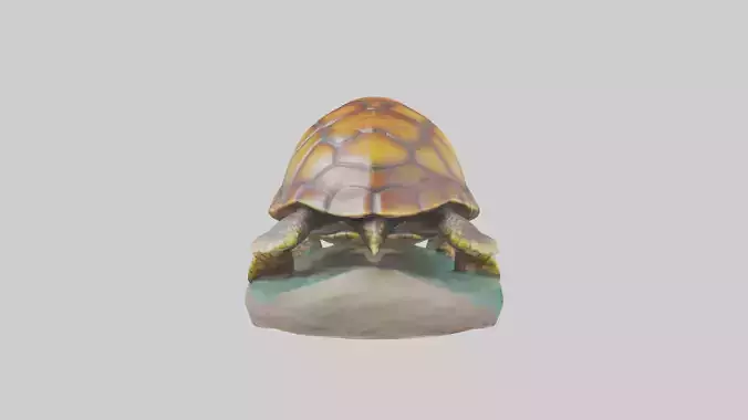 Loggerhead Turtle statue model