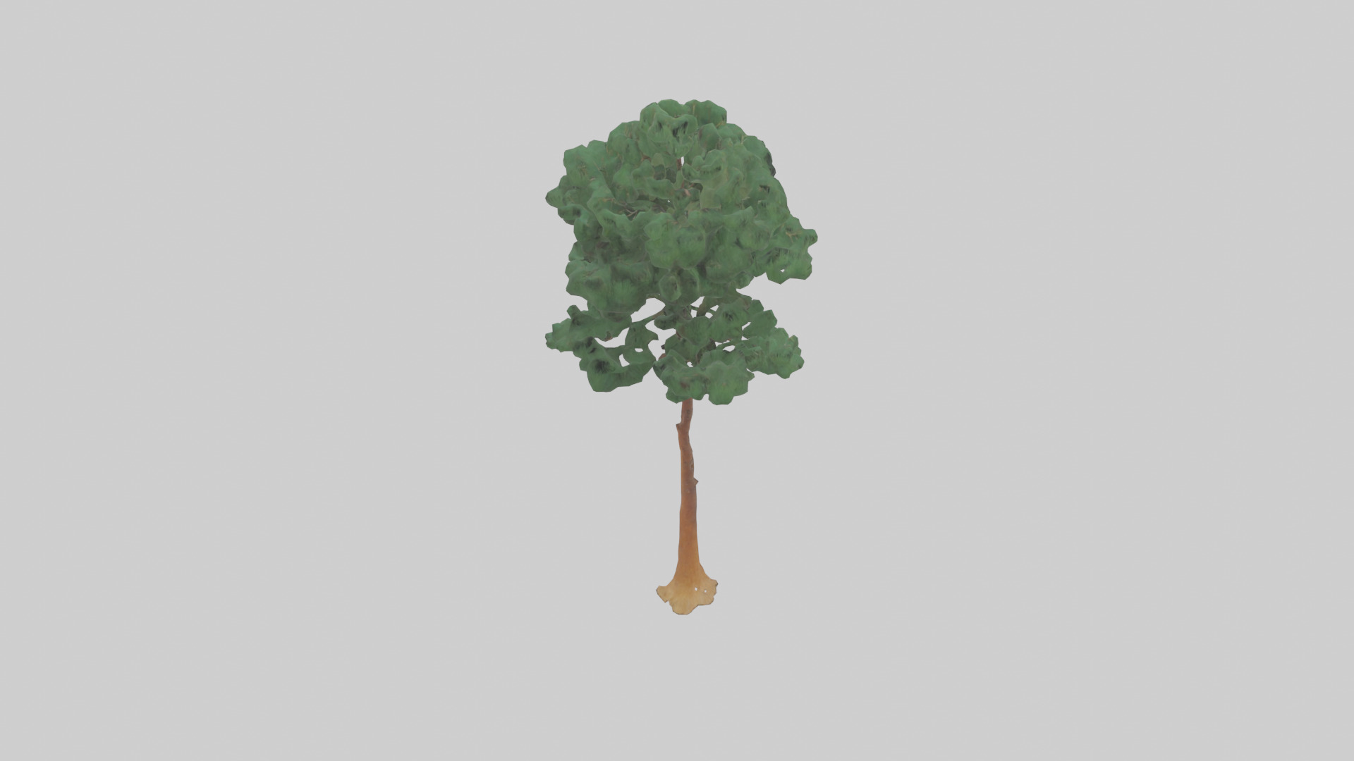 Longleaf Pine tree model Low-poly 3D model_15