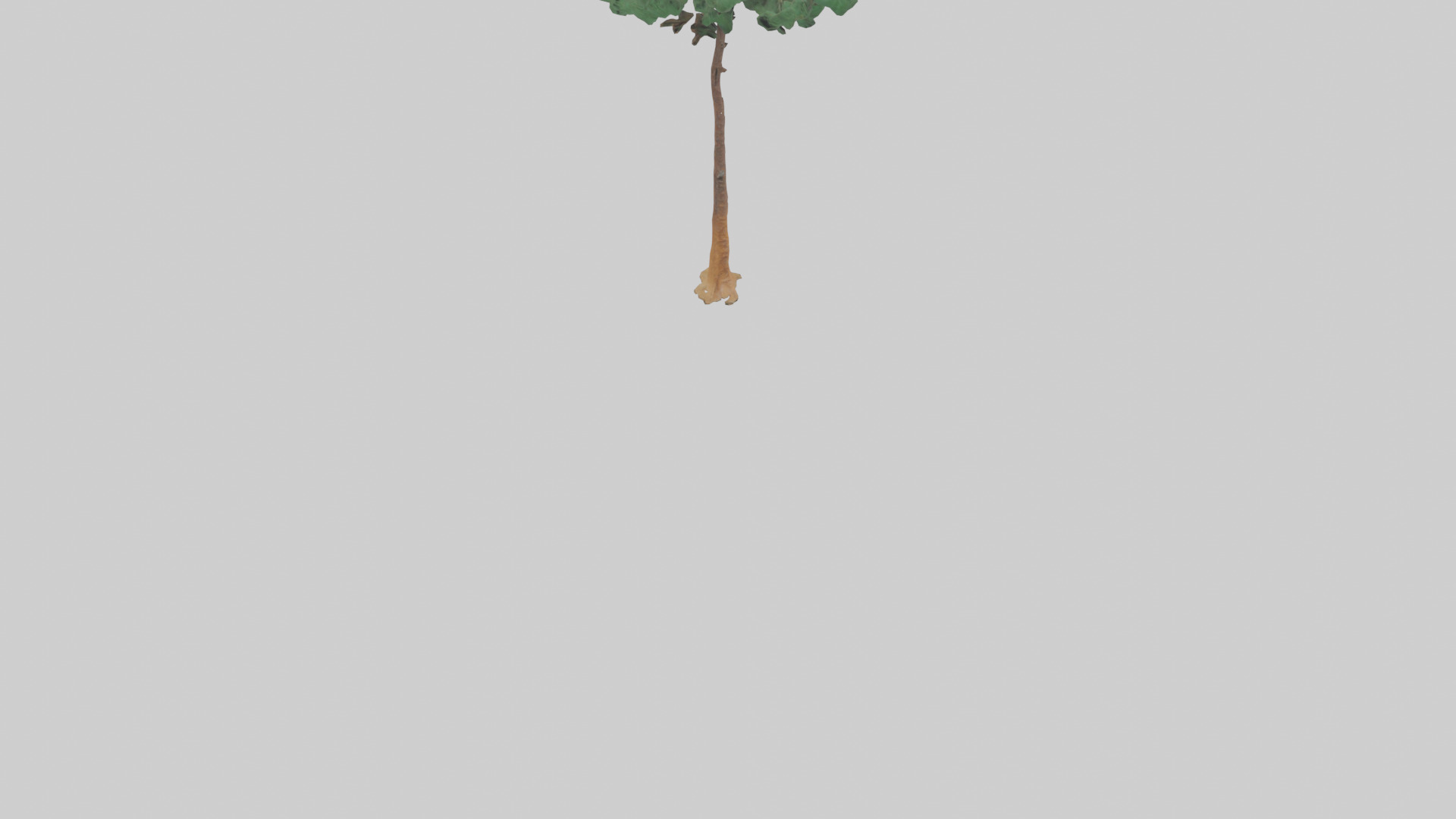 Longleaf Pine tree model Low-poly 3D model_6