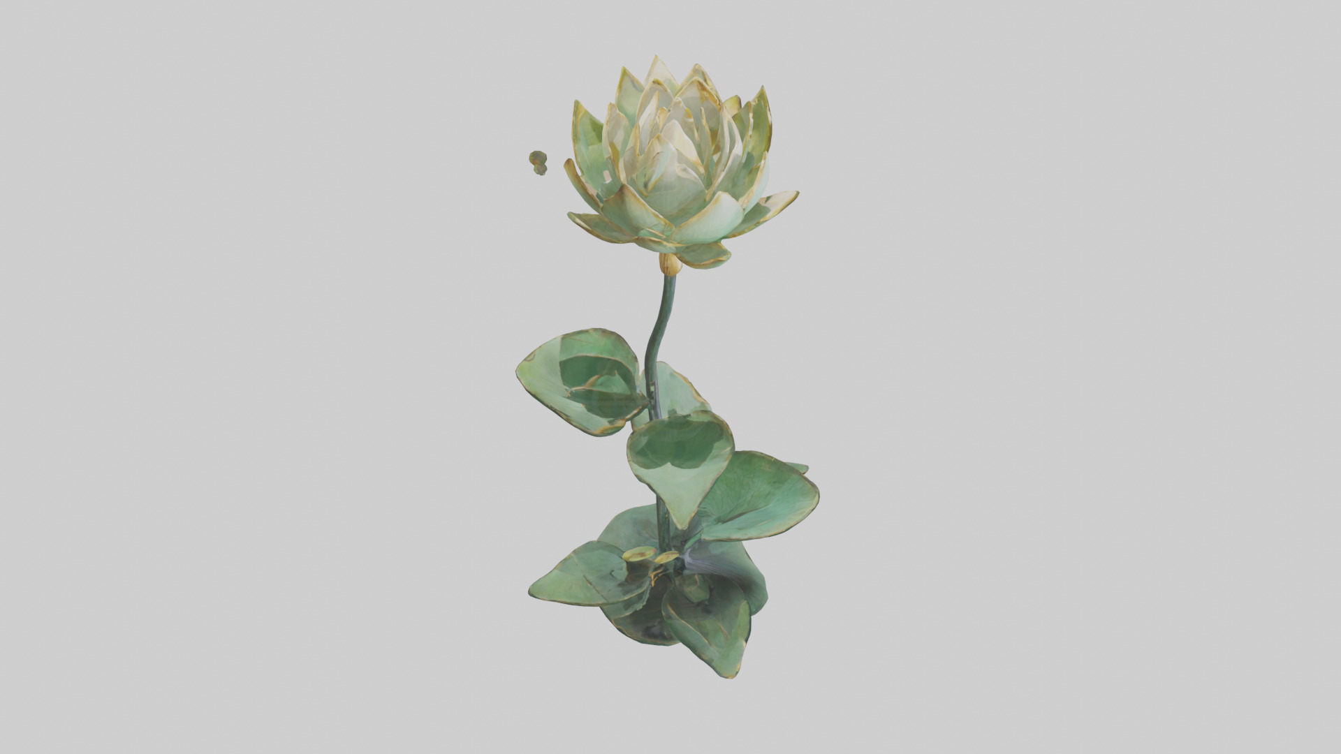 Lotus Stem Sculpture model Low-poly 3D model_18