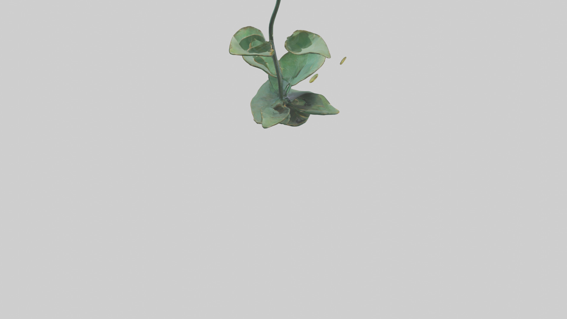 Lotus Stem Sculpture model Low-poly 3D model_4