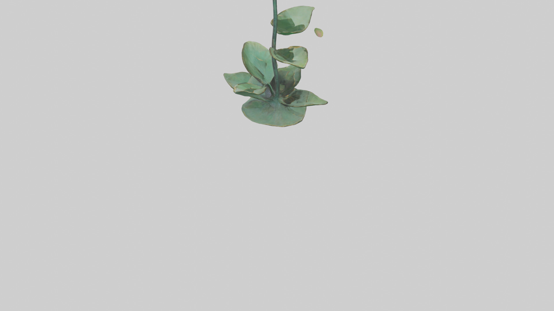 Lotus Stem Sculpture model Low-poly 3D model_3