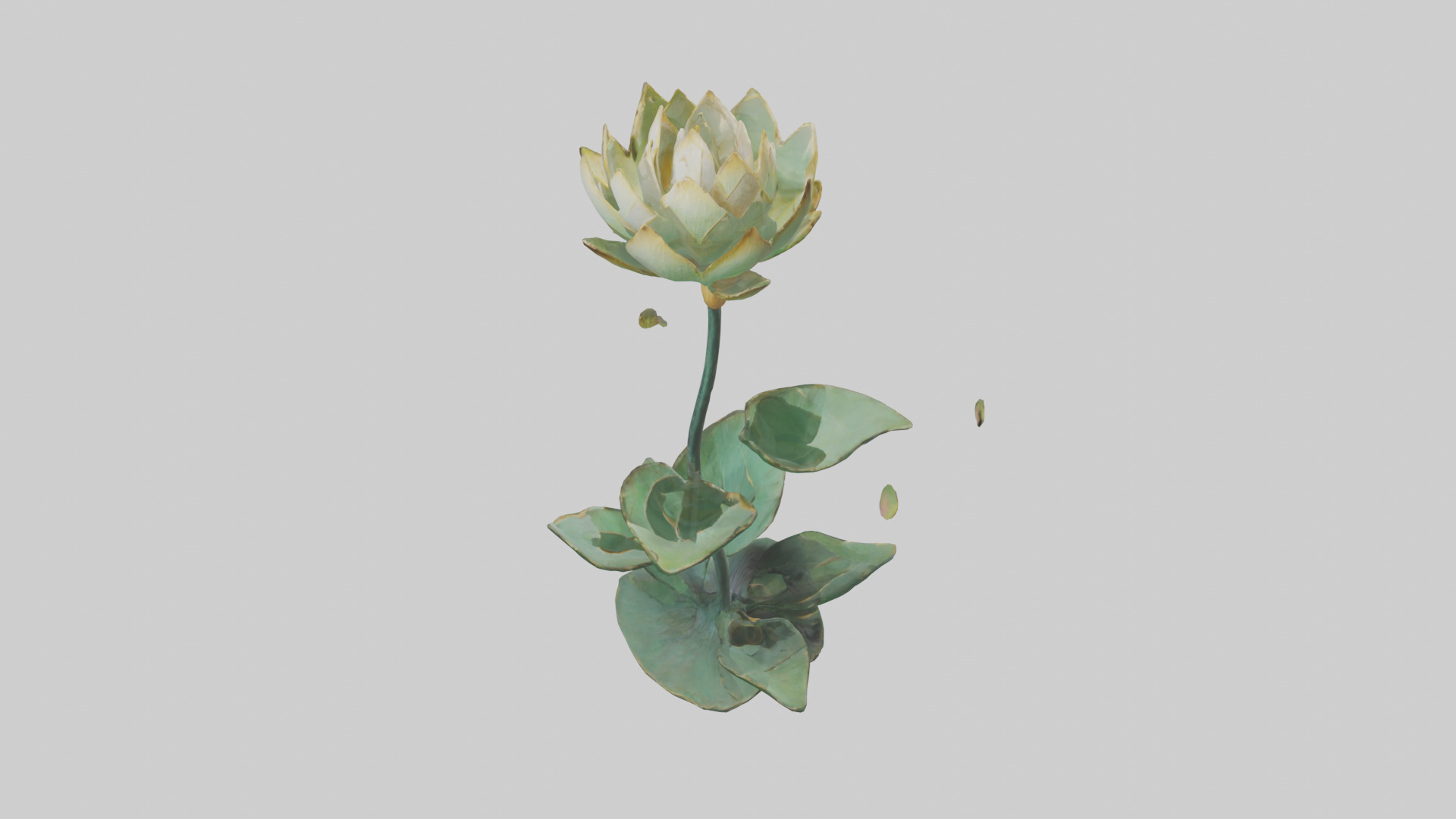 Lotus Stem Sculpture model Low-poly 3D model_15