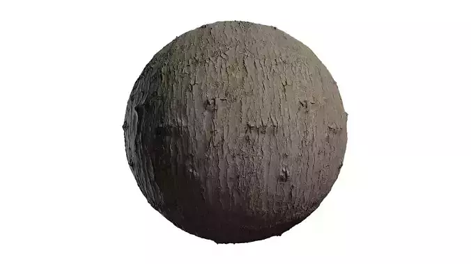 Anydrafts Pyrus Bark 01 Texture