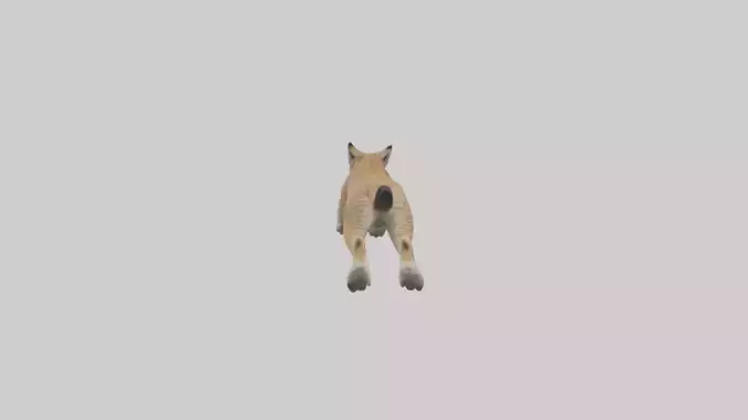 Lynx jumping model