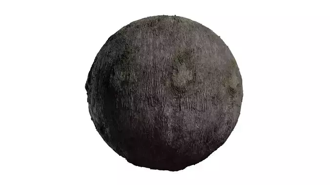 Anydrafts Quercus aquifolioides Bark 01