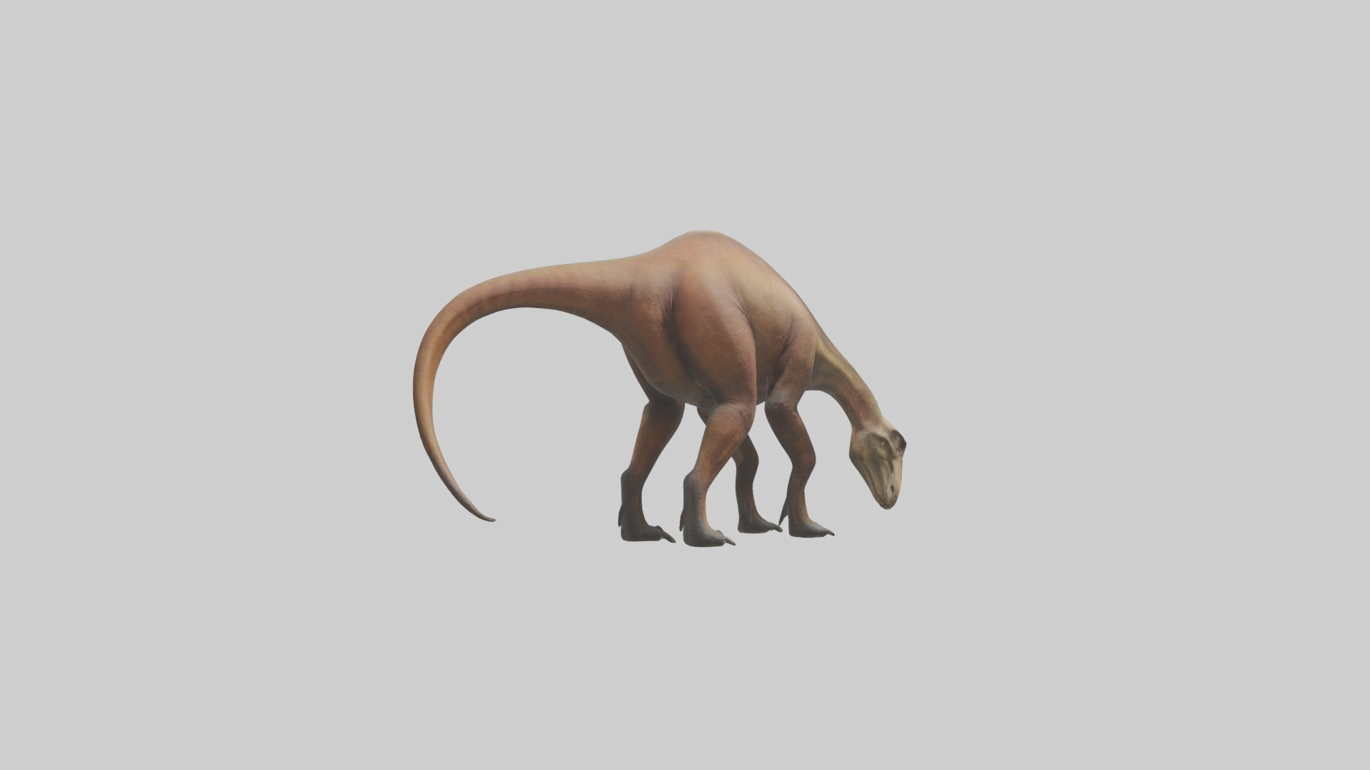 Mamenchisaurus model Low-poly 3D model_2