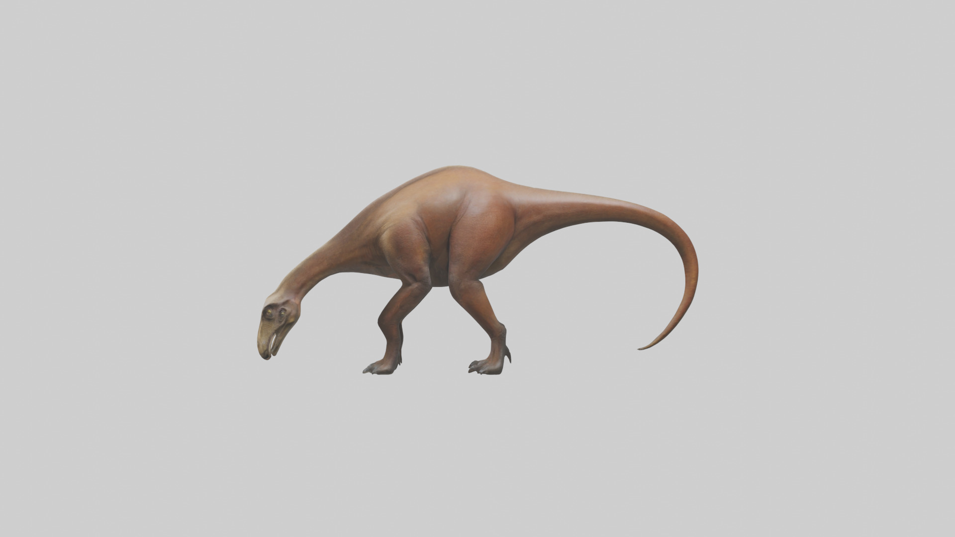 Mamenchisaurus model Low-poly 3D model_12