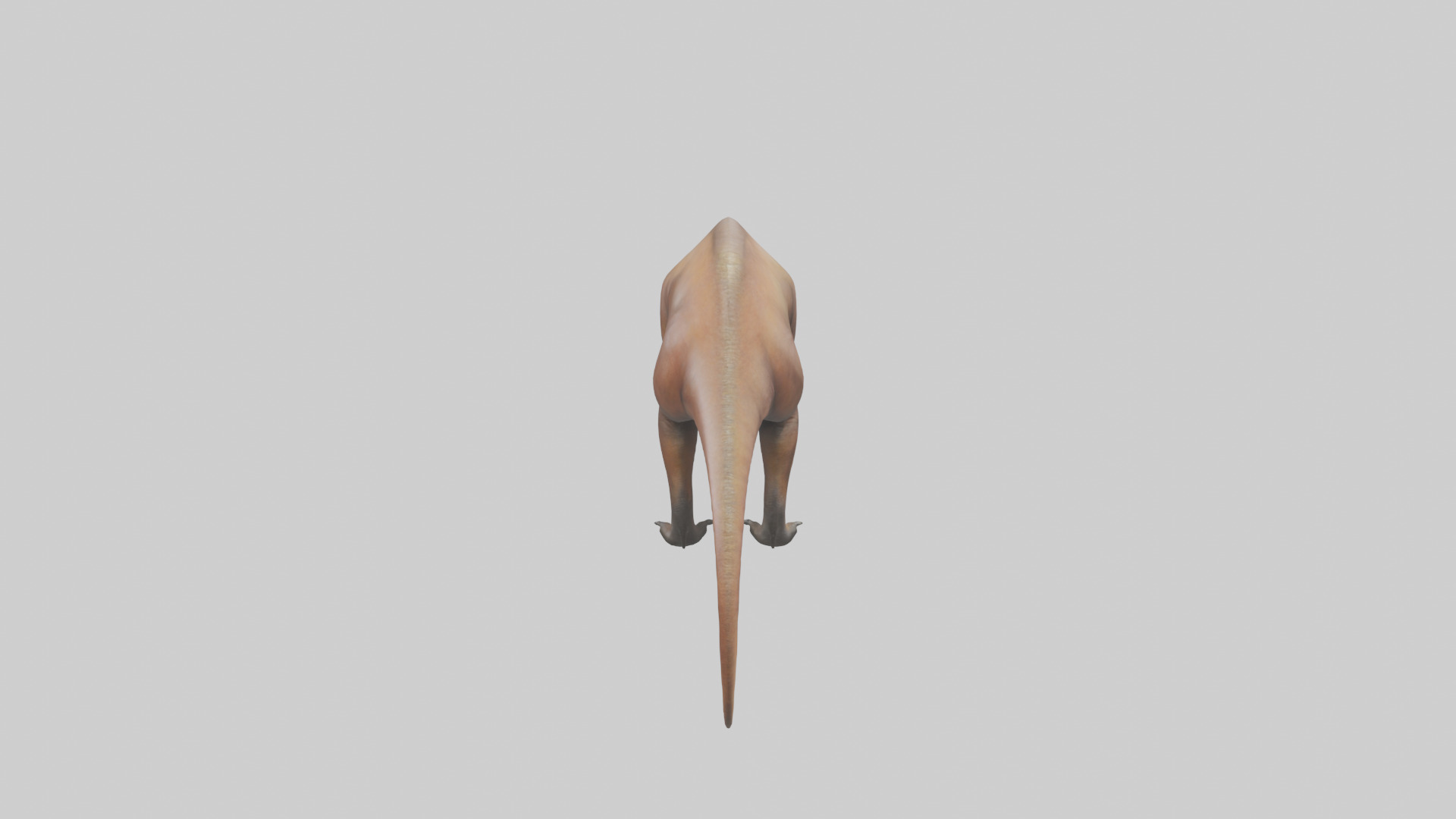 Mamenchisaurus model Low-poly 3D model_15