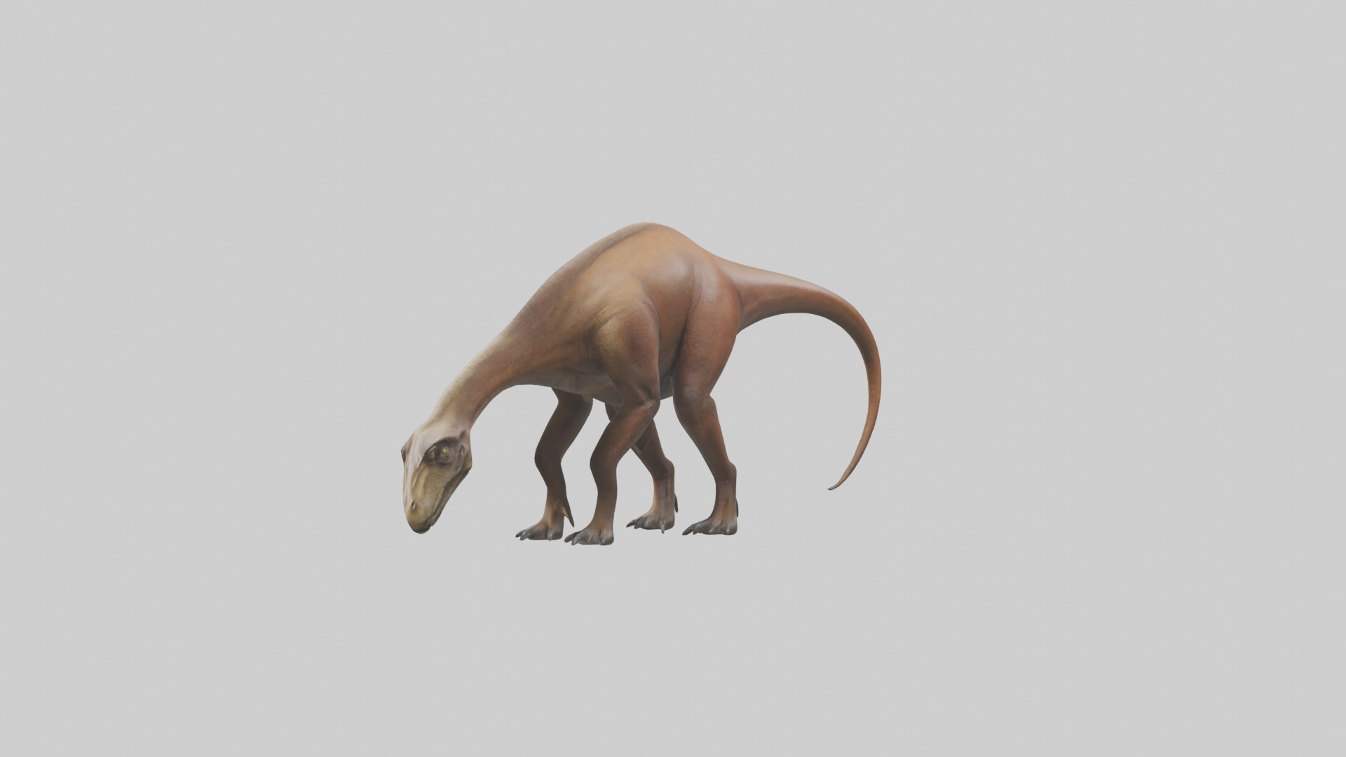 Mamenchisaurus model Low-poly 3D model_8